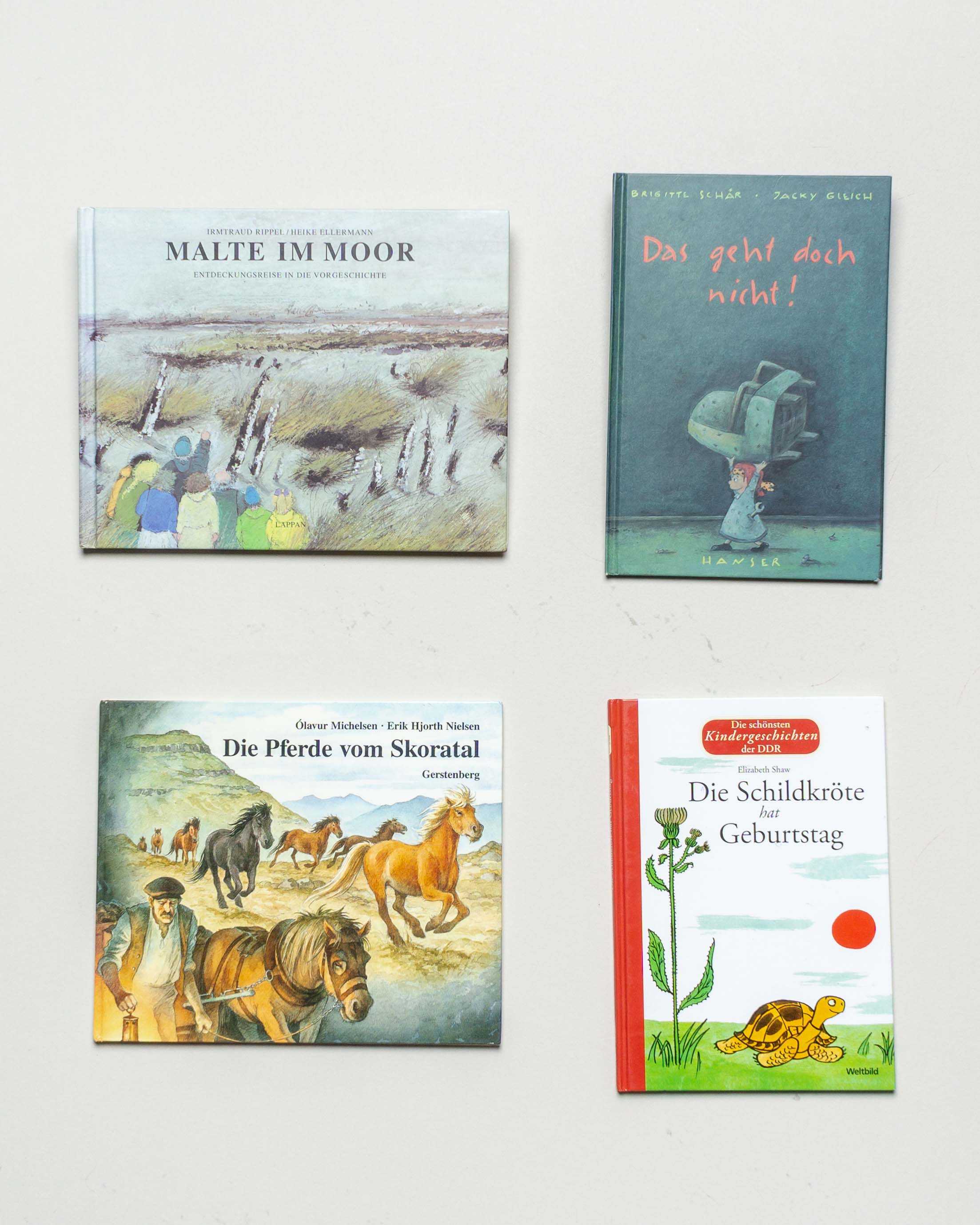 4 Bücher – Bilderbuch Malte im Moor Pferde Schildkröte Geburtstag