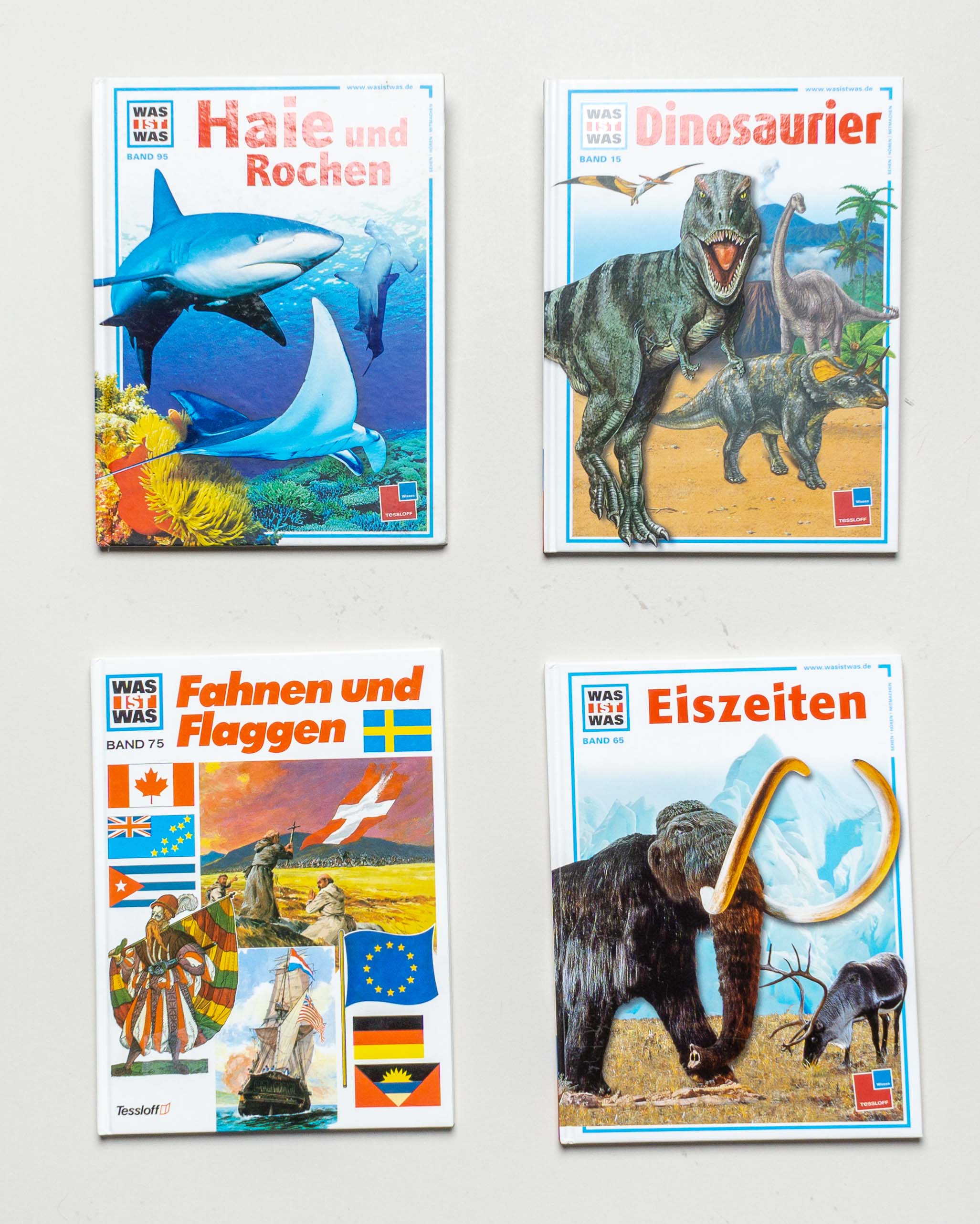 4 Bücher – Was ist Was Haie Dinosaurier Eiszeiten Fahnen Flaggen