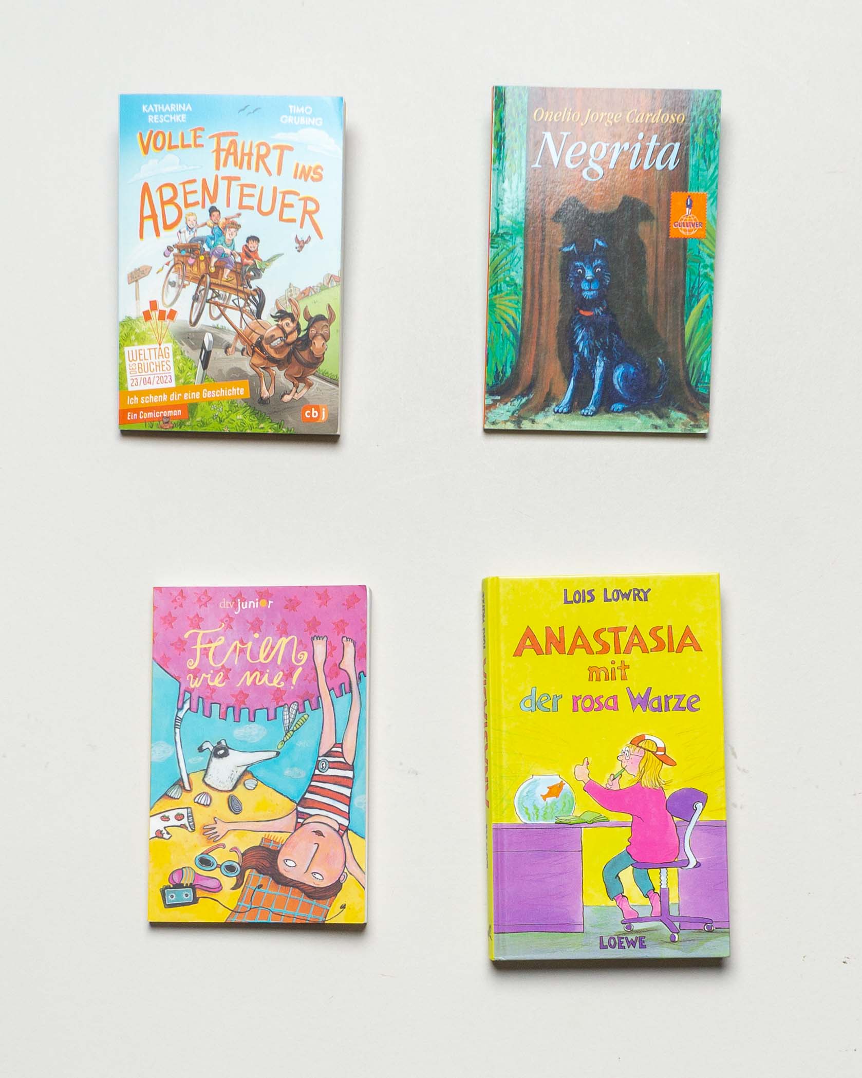 4 Bücher – Abenteuer Negrita Ferien wie nie! Anastasia mit der rosa Warze