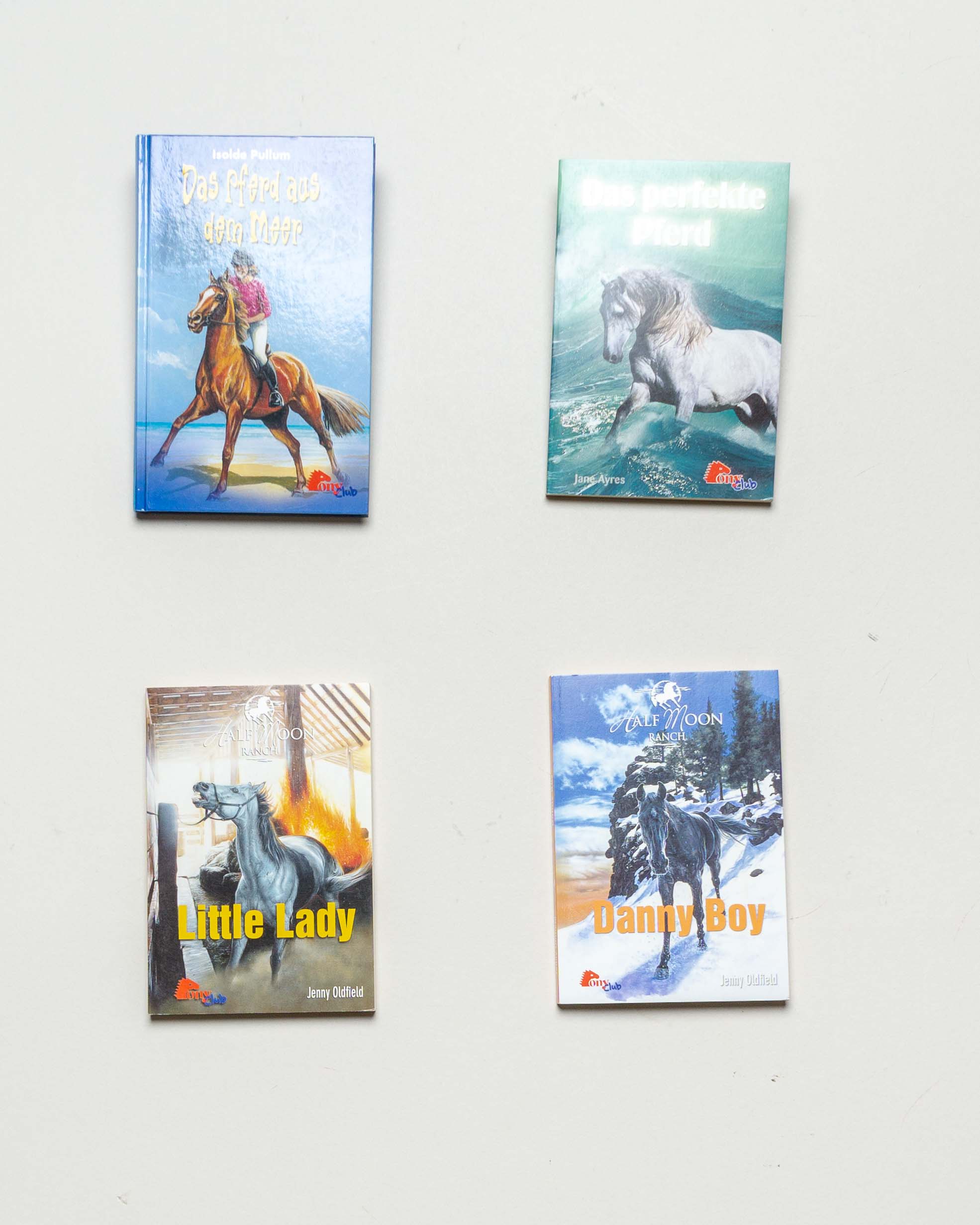 4 Bücher – PonyClub Das Pferd aus dem Meer Danny Boy